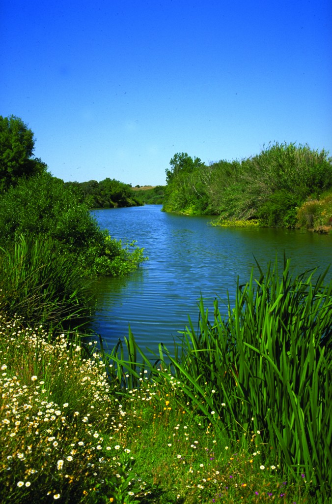 Ribeiras afluentes do Sado