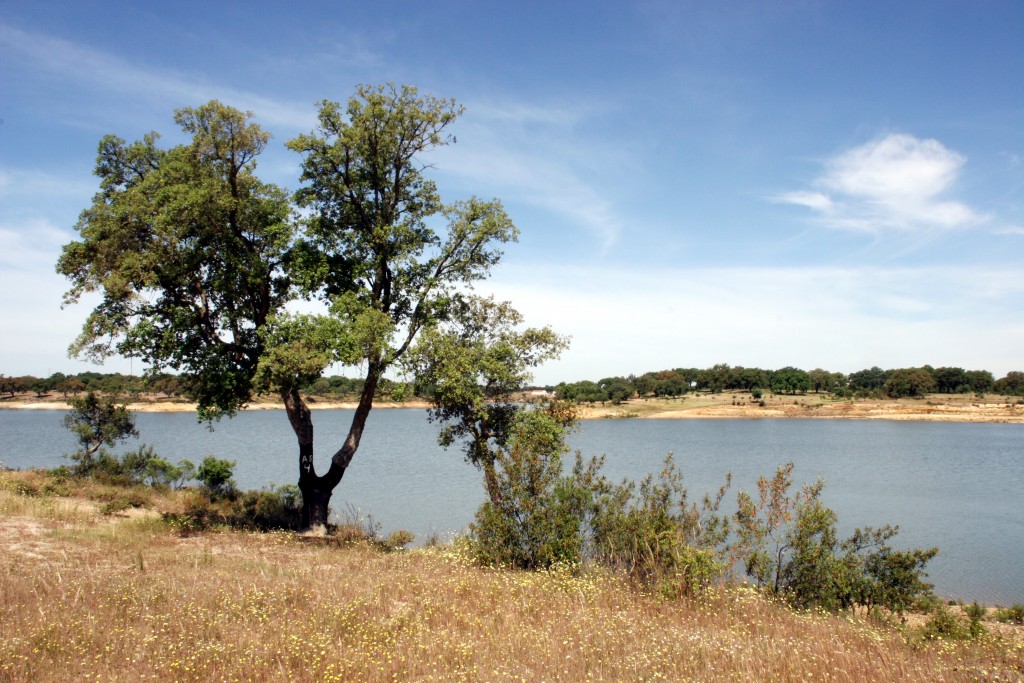 Barragem de Fonte Serne